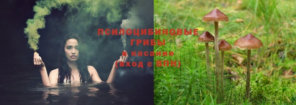 первитин Абинск