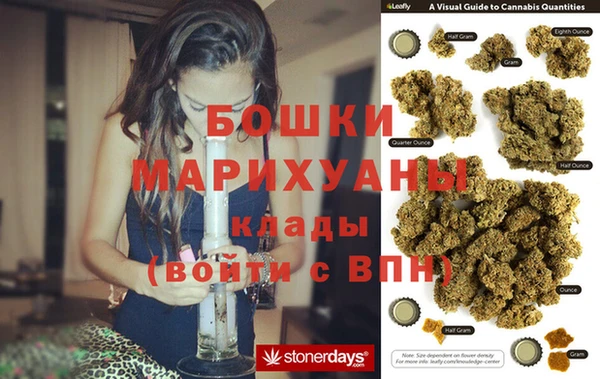 сатива Сосновка