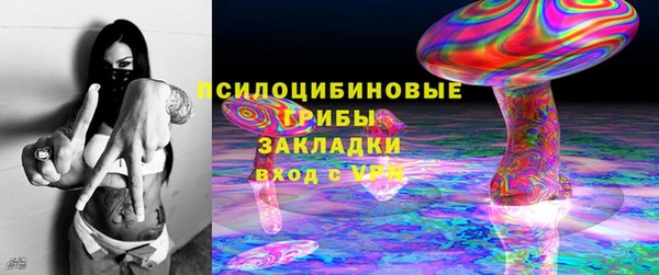 PSILOCYBIN Абдулино